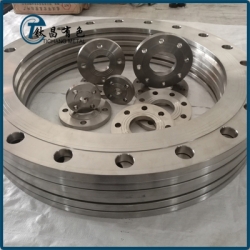 國標平焊鈦法蘭